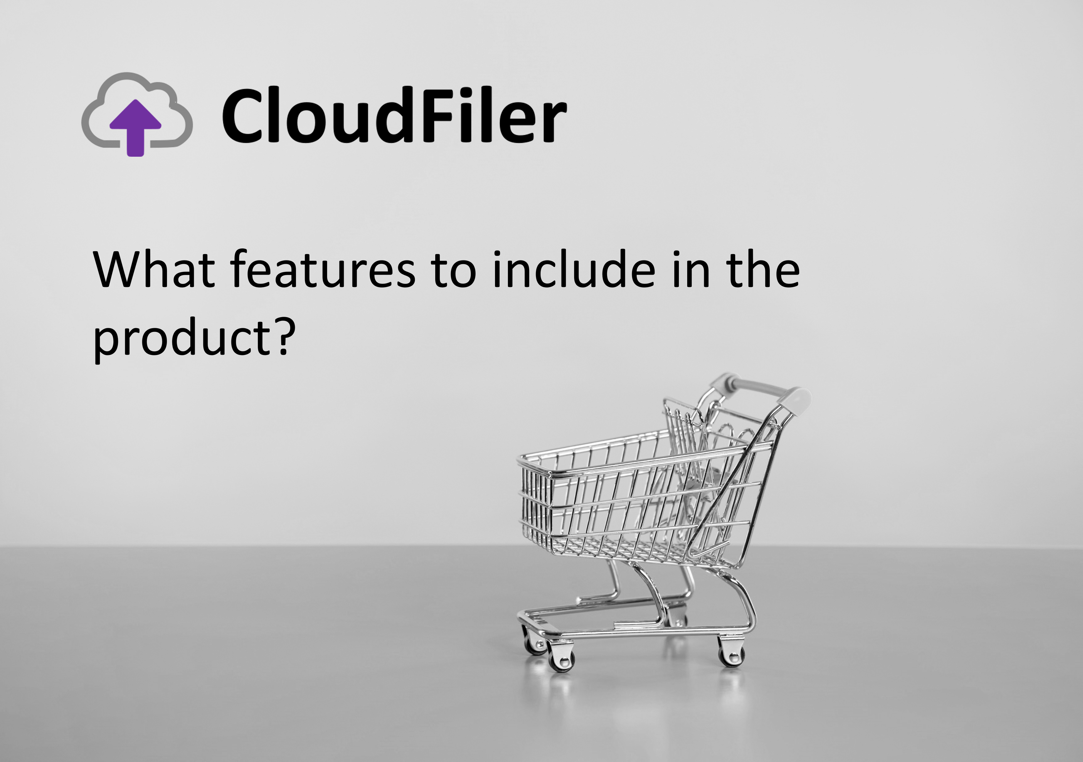 What features to include in the product?